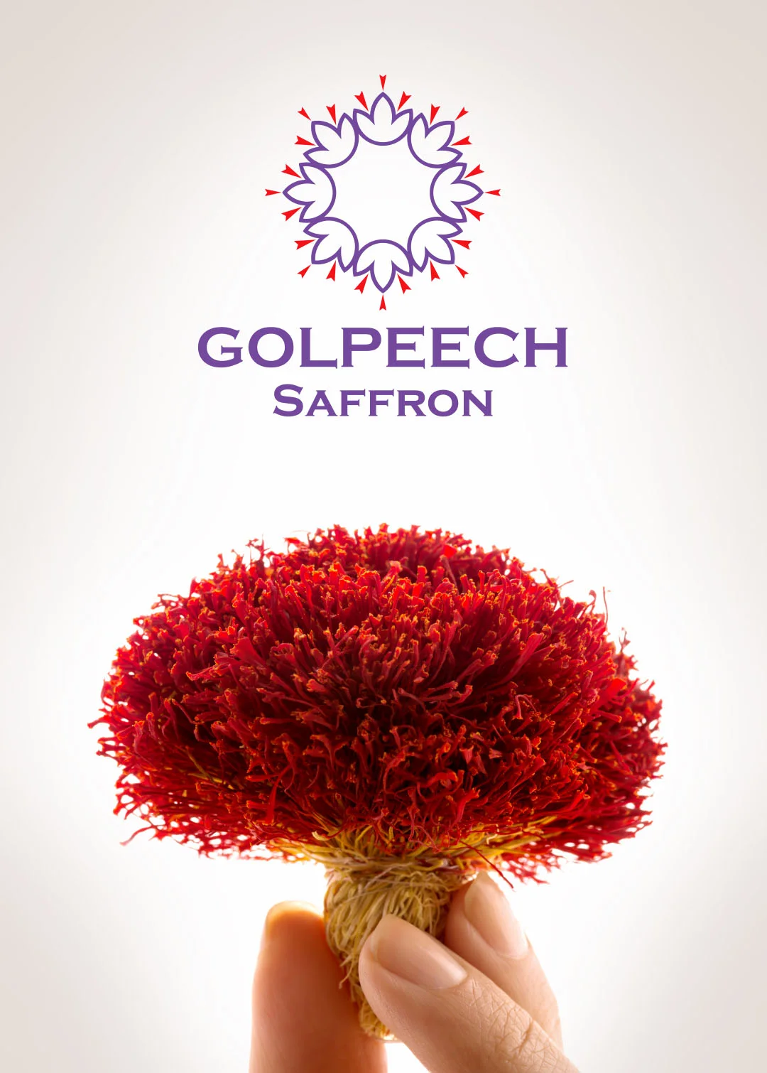 Bulk Saffron Price Quote